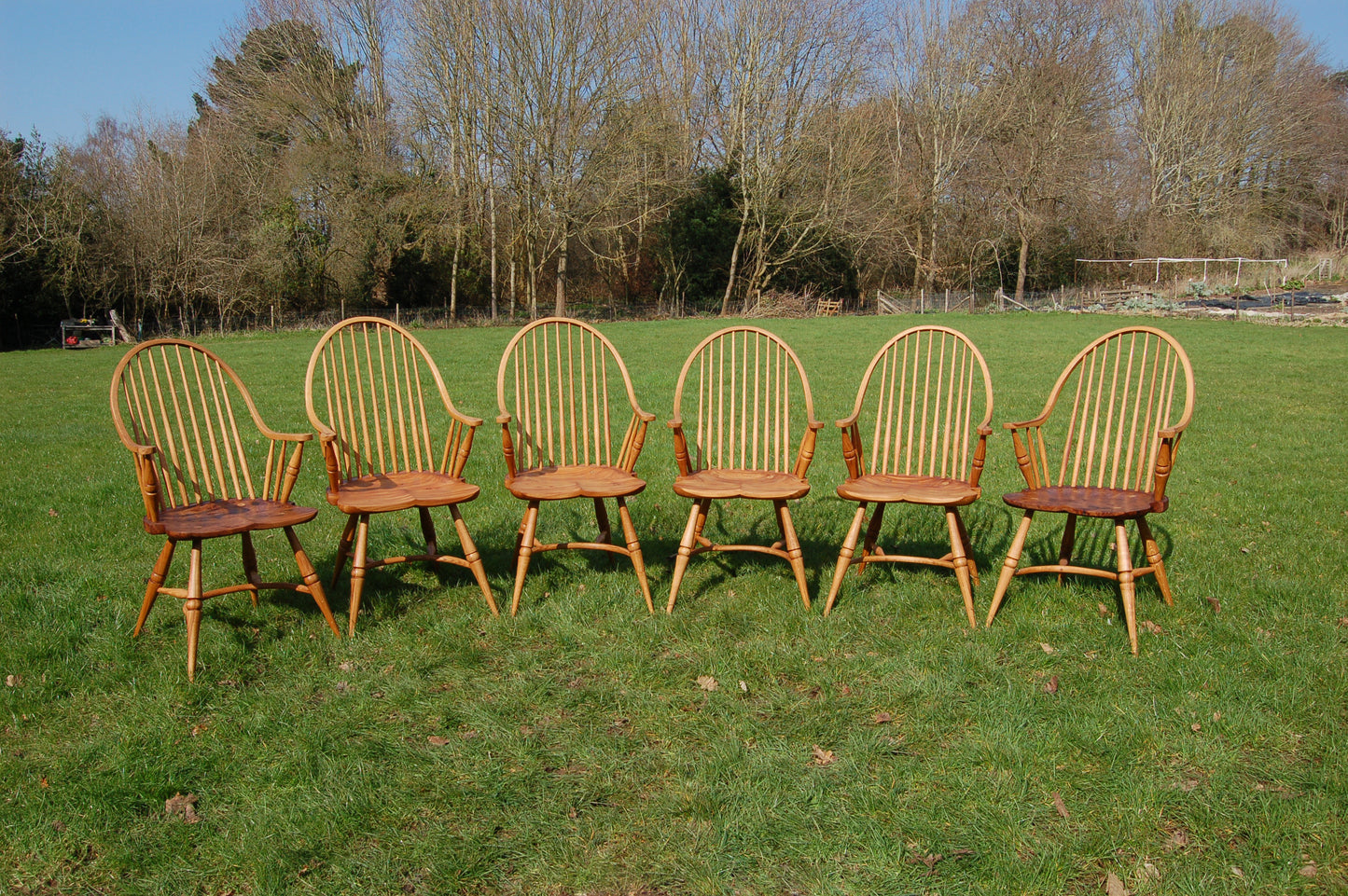 Double Steam Bent Windsor Chair with burr elm seat