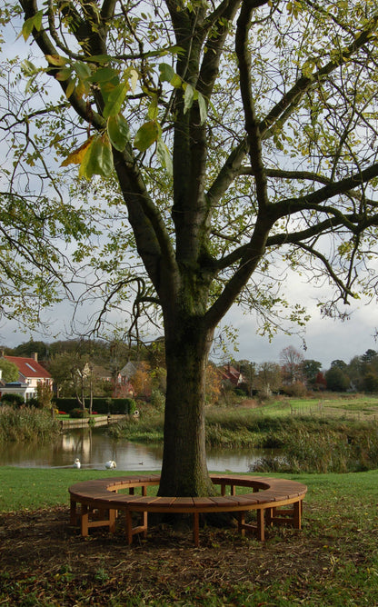 Circular Tree Bench